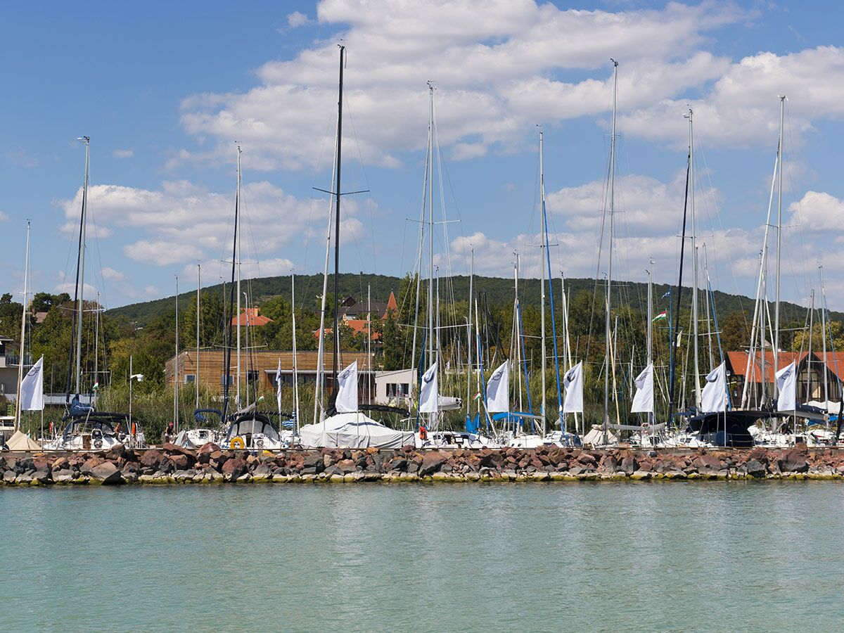 Reihe von Segelbooten vertäut in einem Yachthafen mit grünen Hügeln und Häusern im Hintergrund unter blauem Himmel.