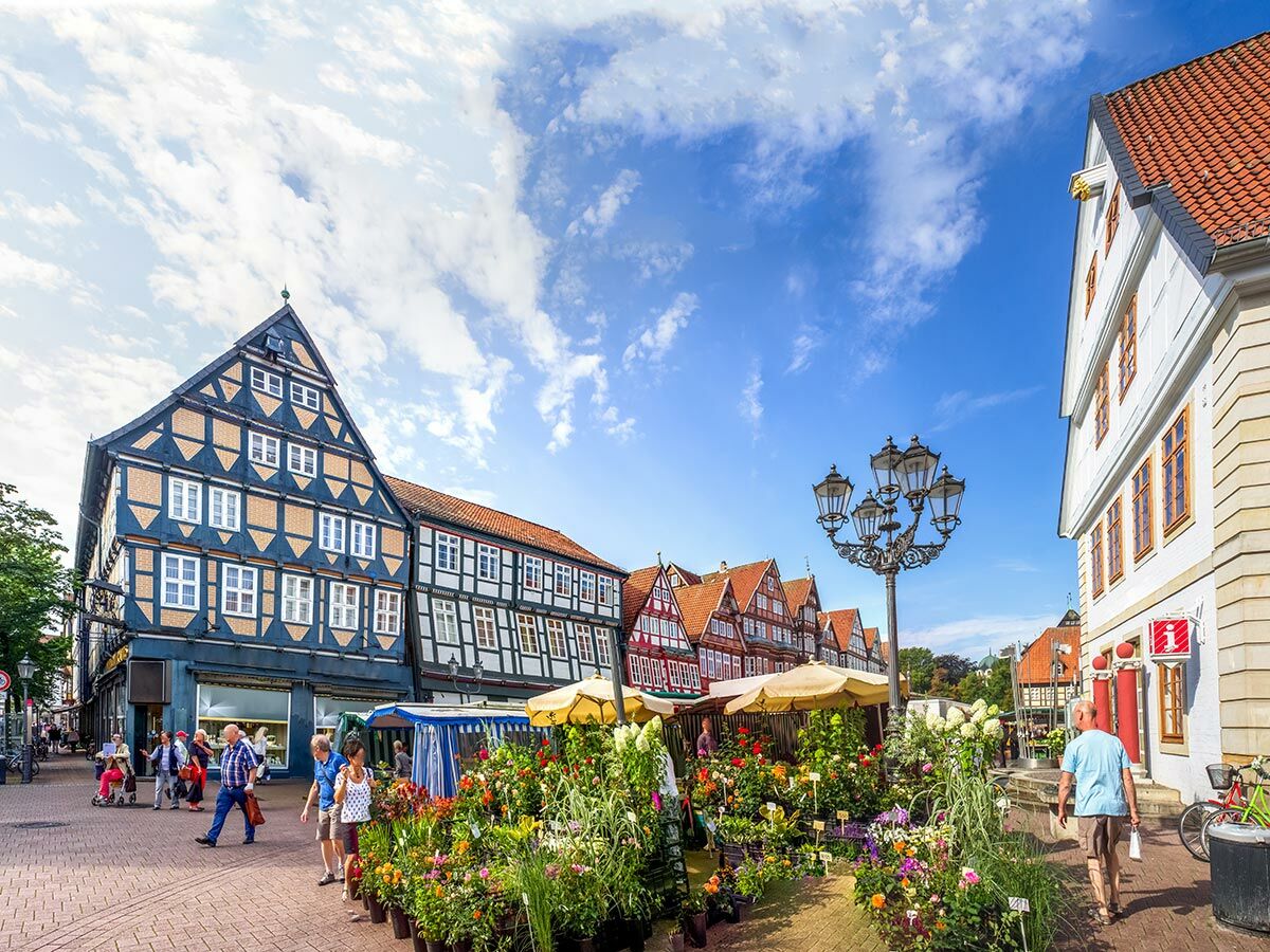 Bunter Blumenmarkt vor historischen Fachwerkhäusern in einer sonnigen deutschen Altstadt mit Menschen.