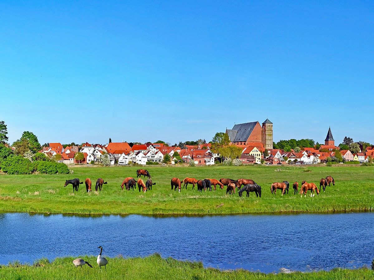 Malerisches Dorf mit roten Dächern und Kirchen, Pferde weiden am Fluss, Schwäne im Wasser. Sonnige Frühlingslandschaft.