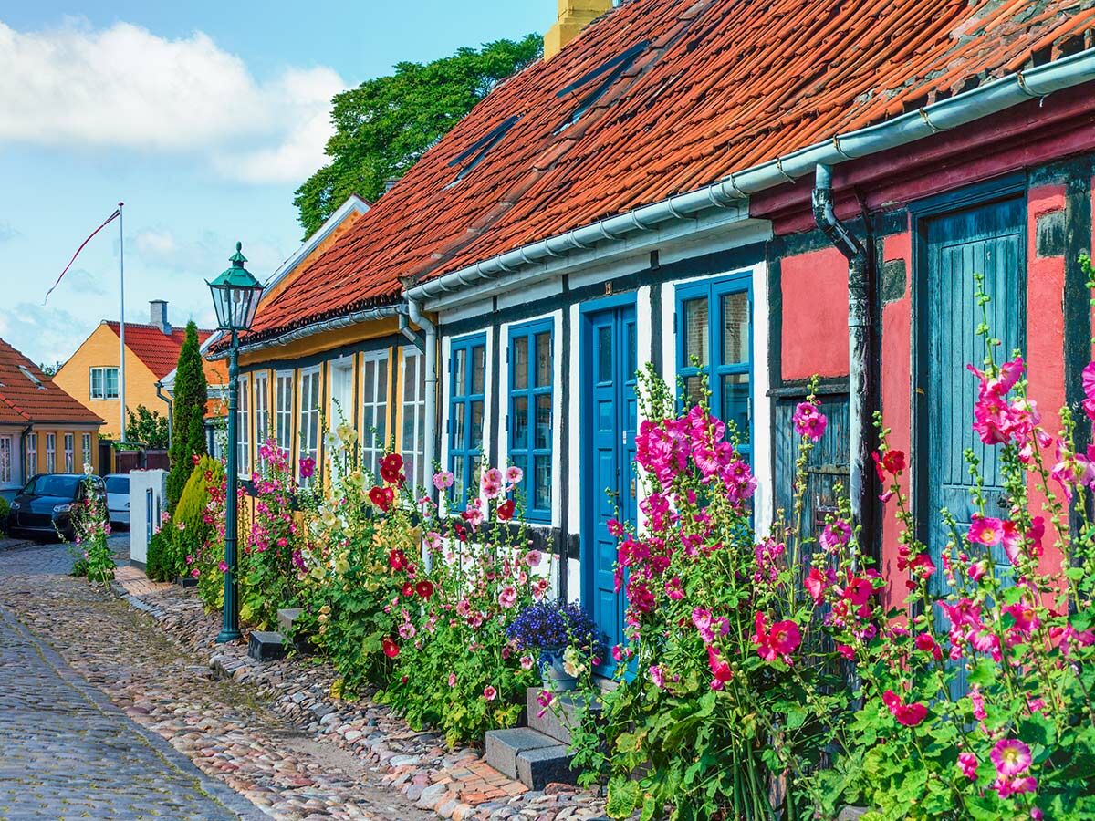 Eine malerische Kopfsteinpflasterstraße in einer dänischen Stadt, gesäumt von leuchtend bunten alten Häusern und rosa Stockrosen unter blauem Himmel.
