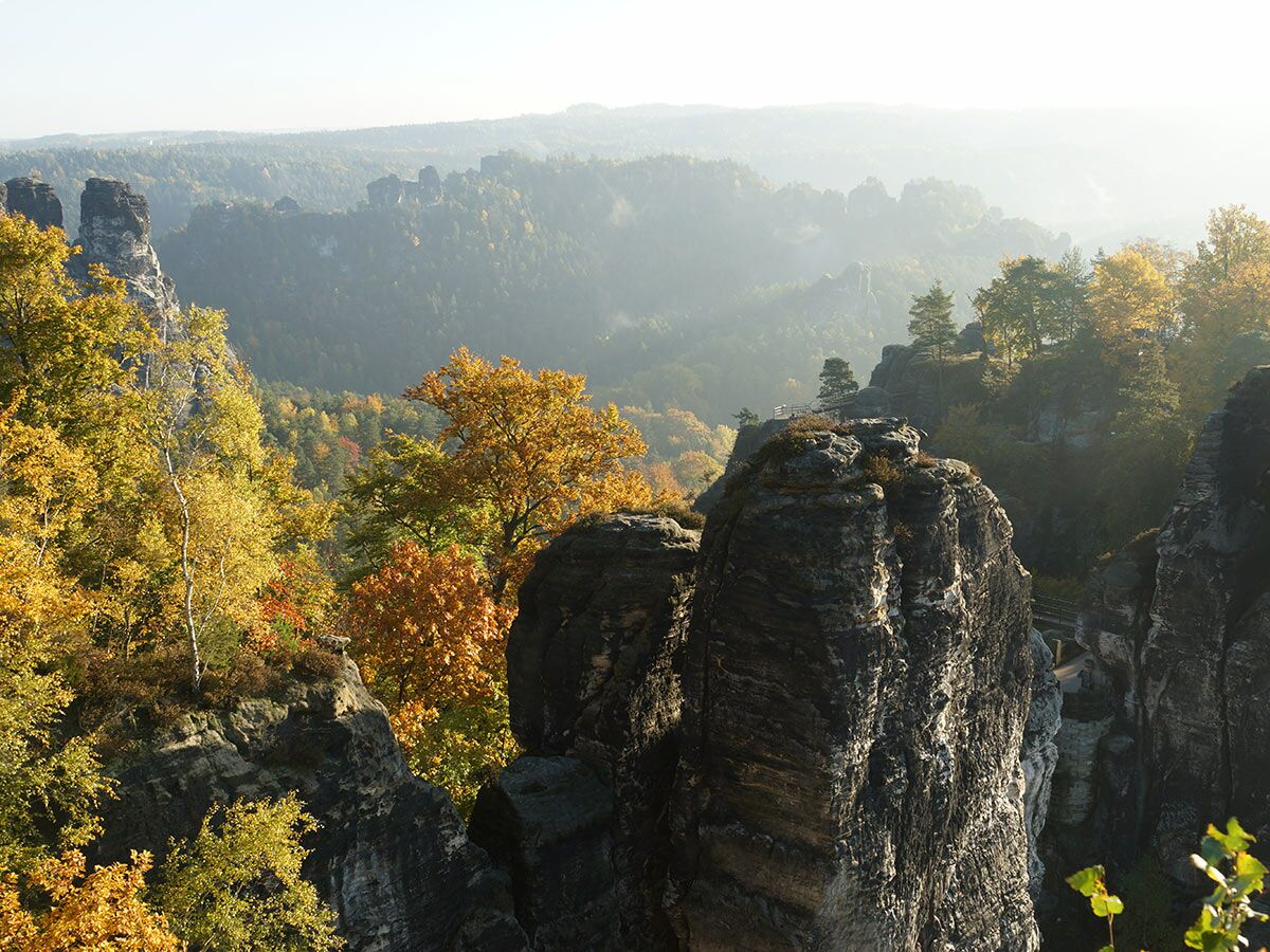 Malerische Herbstlandschaft mit Sandsteinfelsen und bunten Bäumen im Elbsandsteingebirge, im Nebel am Morgen.