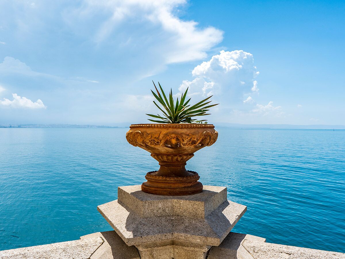 Ein terracottafarbener Blumentopf mit einer spitzblättrigen Pflanze steht auf einem Steinpodest vor blauem Meer und Himmel.