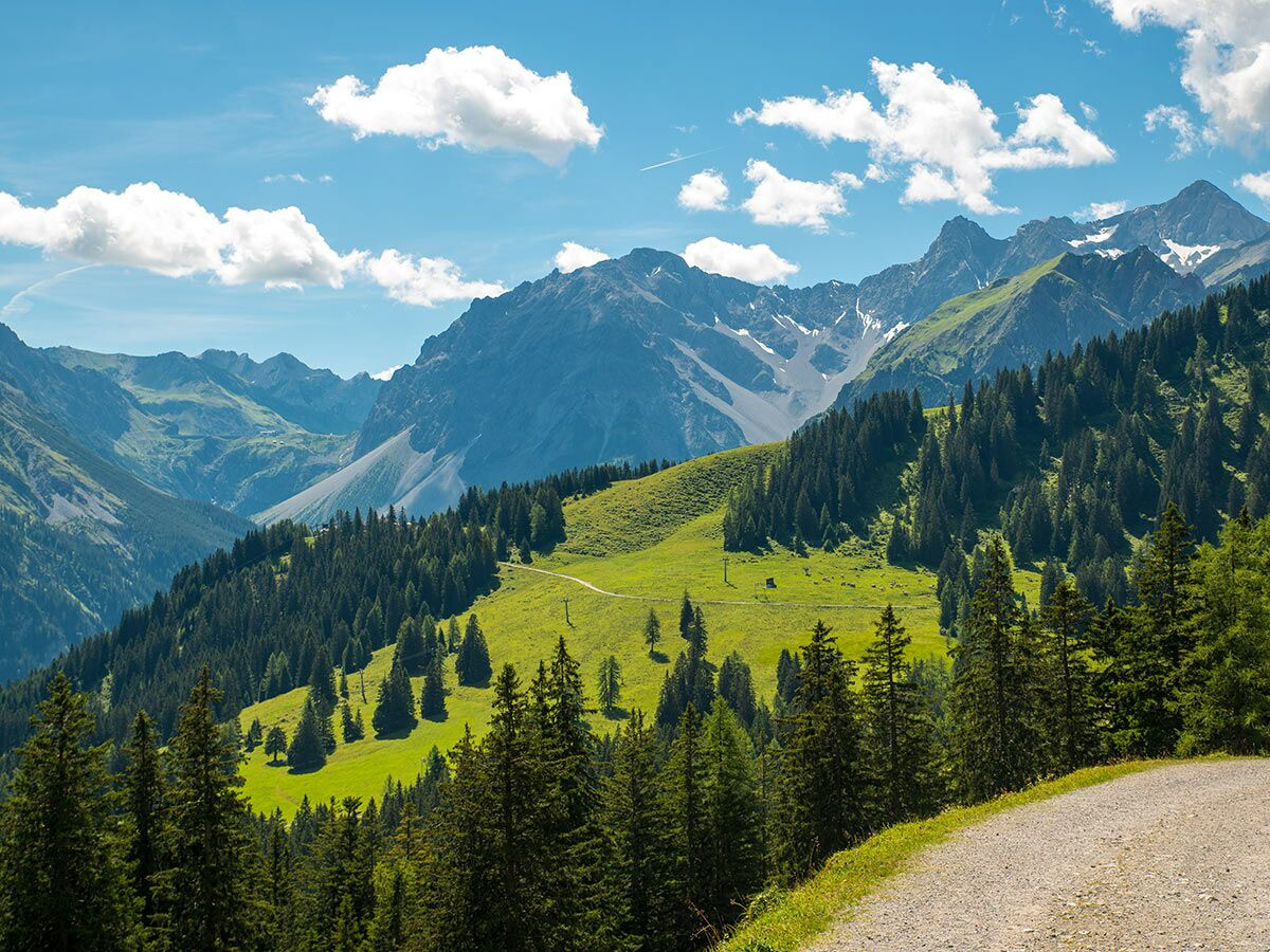 Grüne Berglandschaft mit Kiefernwäldern, schneebedeckten Gipfeln und einem kurvigen Wanderweg unter blauem Himmel mit Wolken.