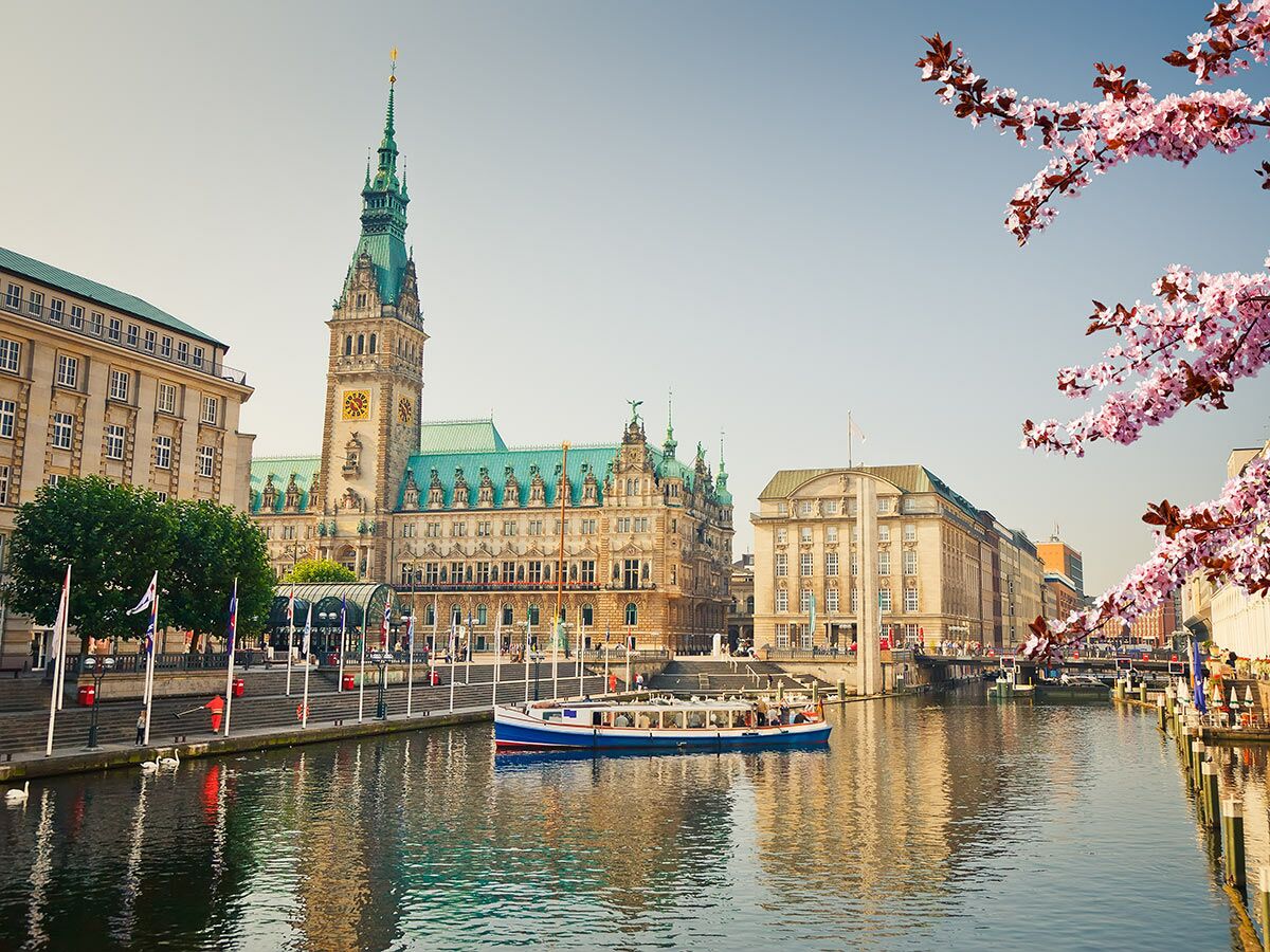 Historisches Hamburger Rathaus mit grüner Kuppel, Kanal, Ausflugsboot und blühenden Kirschzweigen an einem sonnigen Frühlingstag.