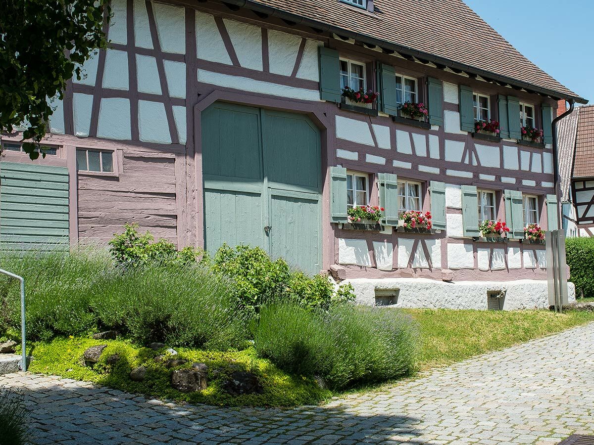 Traditionelles Fachwerkhaus mit hellgrünen Fensterläden, roten Geranien in Blumenkästen, Lavendelgarten und Kopfsteinpflasterweg.