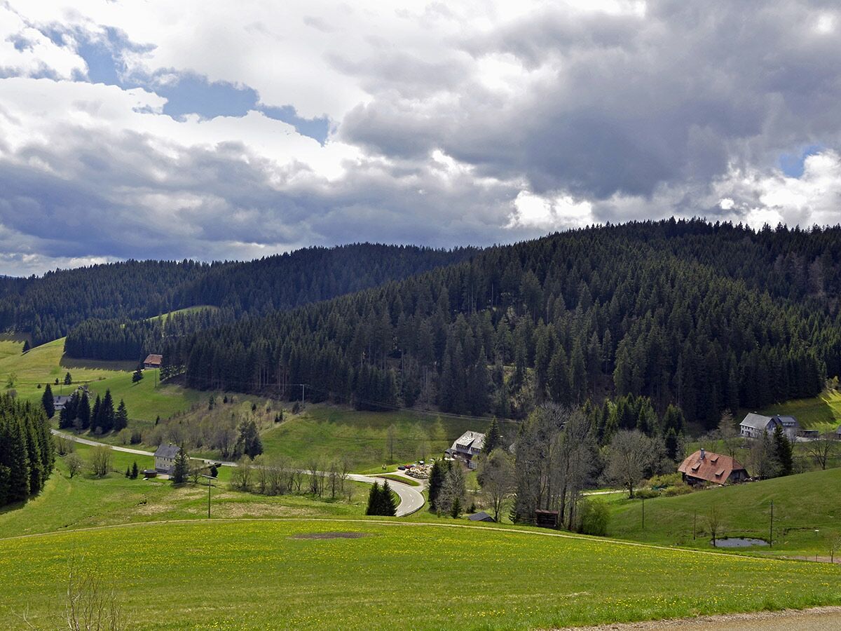 Weite Frühlingslandschaft im Schwarzwald mit grünen Wiesen, dichten Wäldern, verstreuten Häusern und einer kurvigen Straße unter bewölktem Himmel.