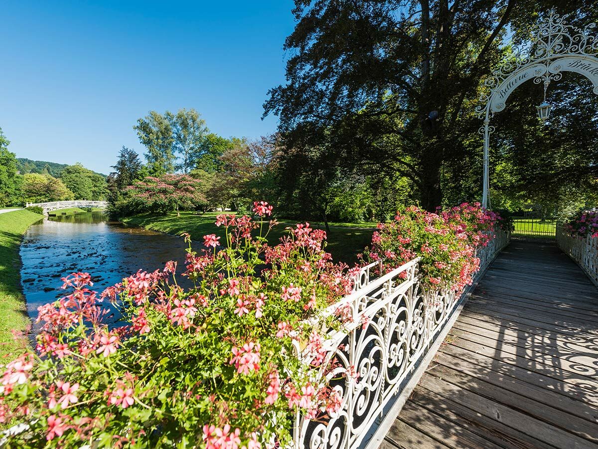 Idyllische Bellevue Brücke im Park mit rosa Blumen am Fluss, umgeben von grünen Bäumen und blauem Himmel.