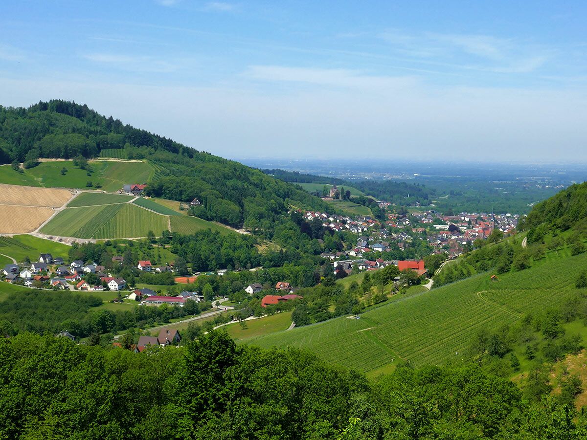 Panoramablick auf charmantes Dorf in grünes Tal, umgeben von Wäldern, Weinbergen, Feldern unter blauem Himmel.