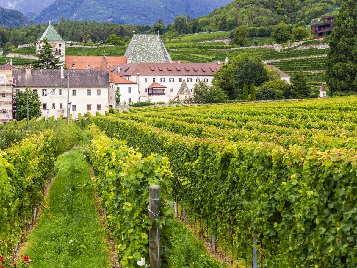 Idyllische Landschaft mit grünen Weinbergen, historischen Gebäuden und Bergen unter blauem Himmel in Südtirol.