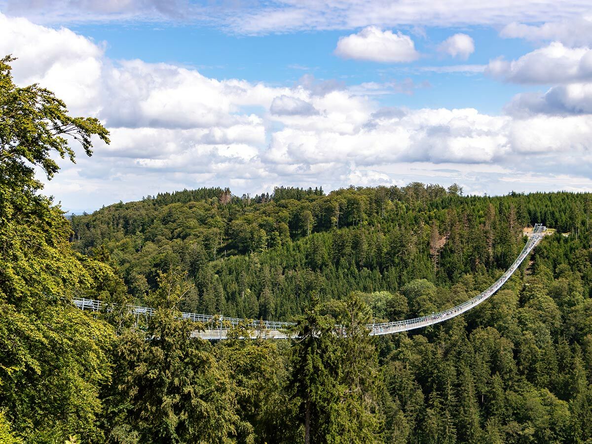Lange Hängeseilbrücke mit vielen Menschen überspannt ein tiefes, grünes Waldtal unter blauem Himmel mit Wolken.