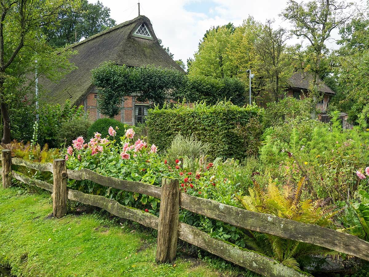 Ein traditionelles Reetdachhaus aus Backstein hinter einem üppigen Garten mit rosa Dahlien und einem rustikalen Holzzaun.