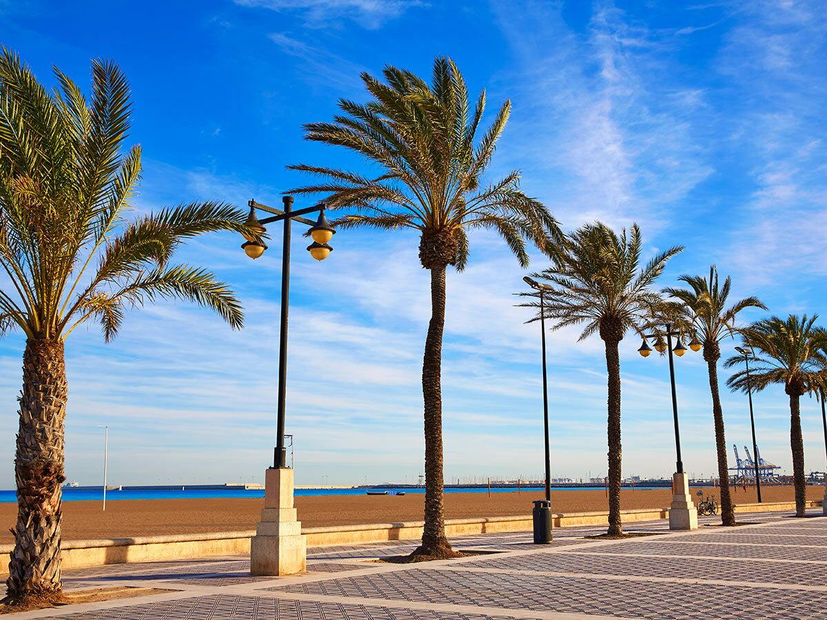 Sonnige Strandpromenade mit Palmen, Laternen und weitem Sandstrand unter blauem Himmel; im Hintergrund Hafenkräne und Meer.