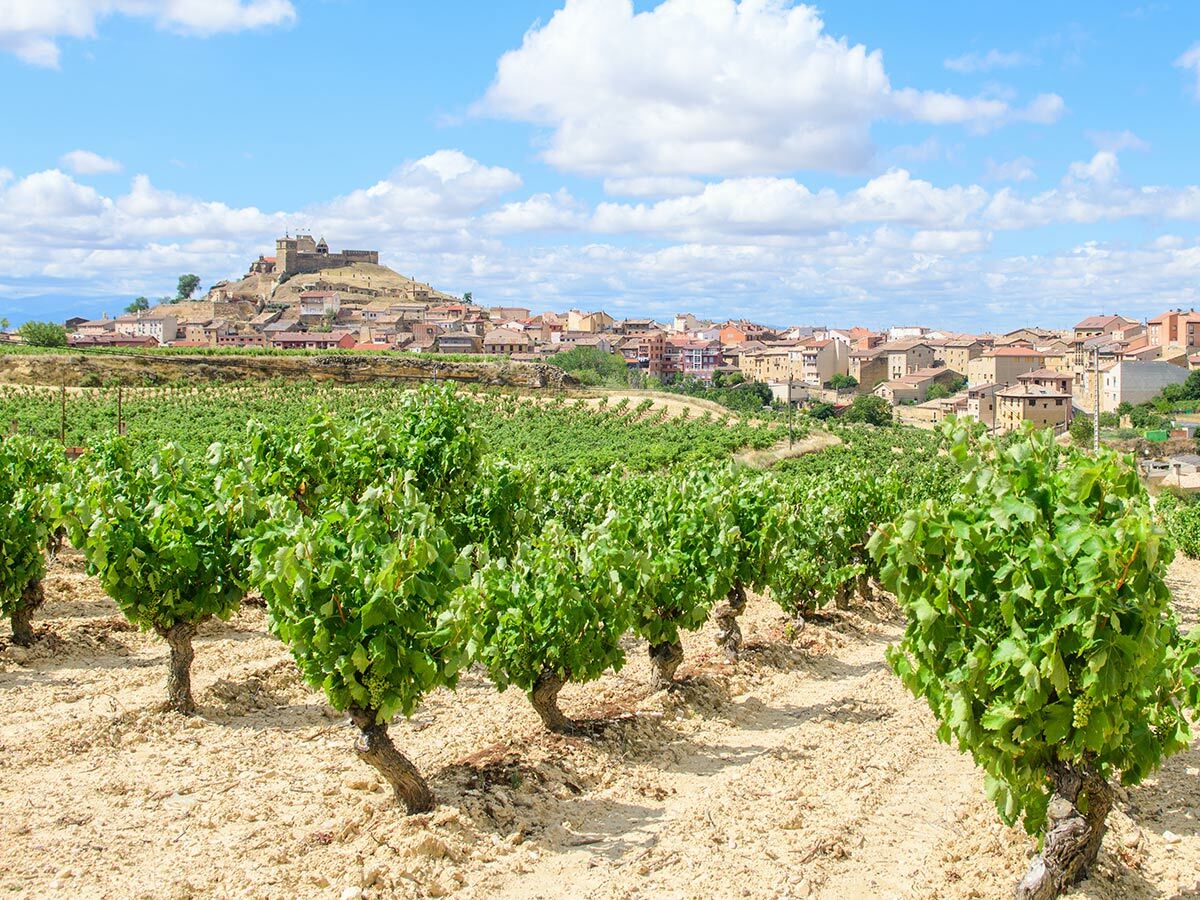 Grüner Weinberg mit trockenem Boden vor einem Dorf und einer historischen Burg unter blauem Himmel in Spanien.