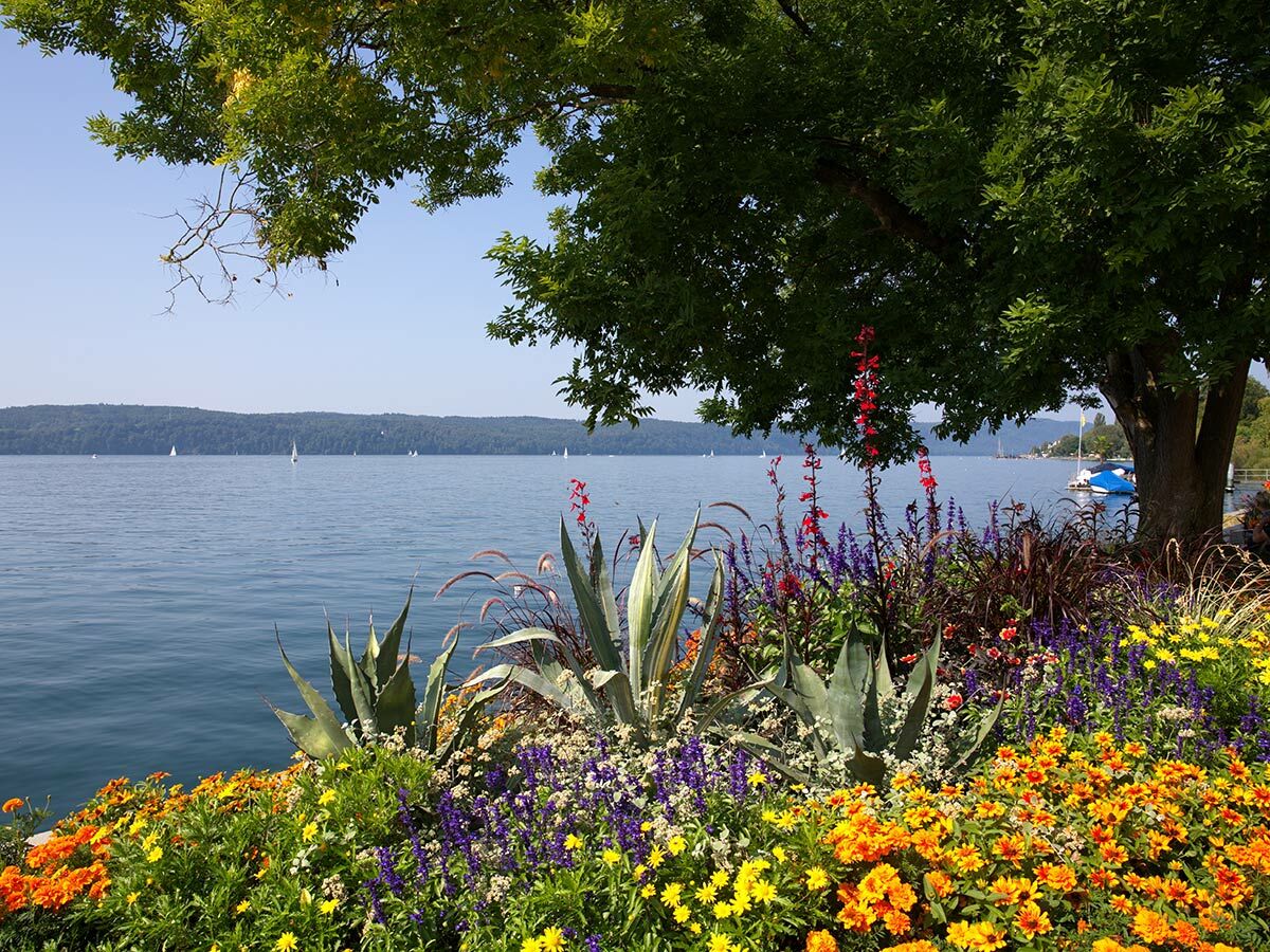 Farbenprächtiges Blumenbeet am Ufer eines sonnigen Sees mit Segelbooten, grünen Bäumen und bewaldetem Ufer.