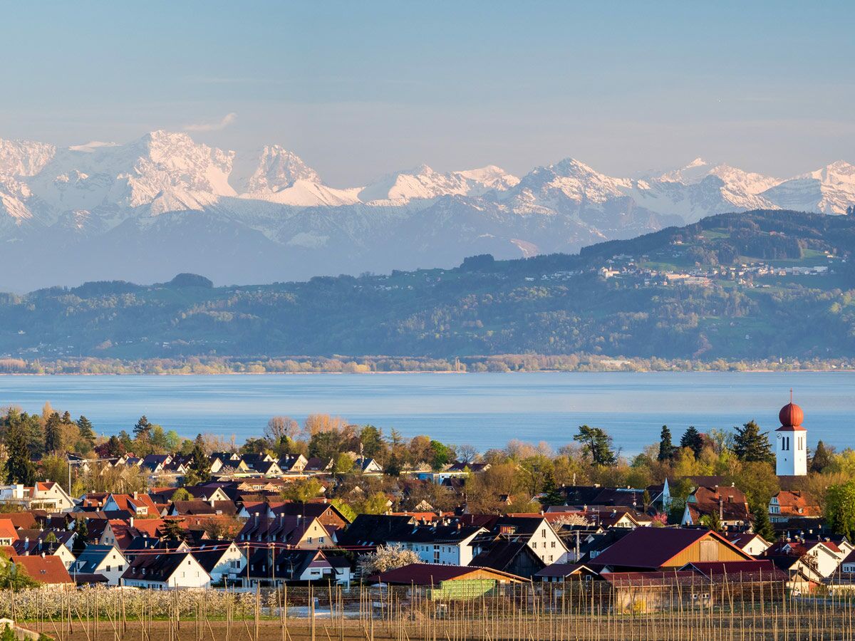 Idyllisches Dorf am See mit roten Dächern, Kirchturm, Obstplantagen im Vordergrund und schneebedeckten Alpen im Hintergrund.