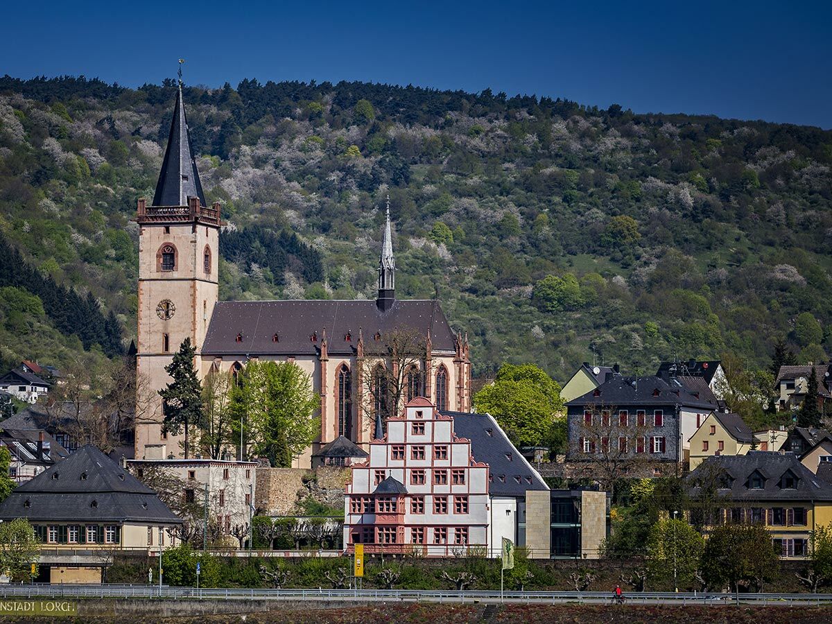 Historische Stadt Lorch am Rhein mit markanter St. Martin Kirche, traditionellen Häusern und blühenden Frühlingshügeln.