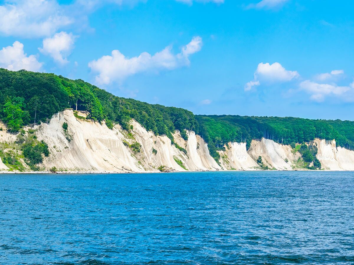Weiße Kreidefelsen am Meer mit grünen Wäldern und blauem Himmel. Eine malerische Küstenlandschaft an einem sonnigen Tag.