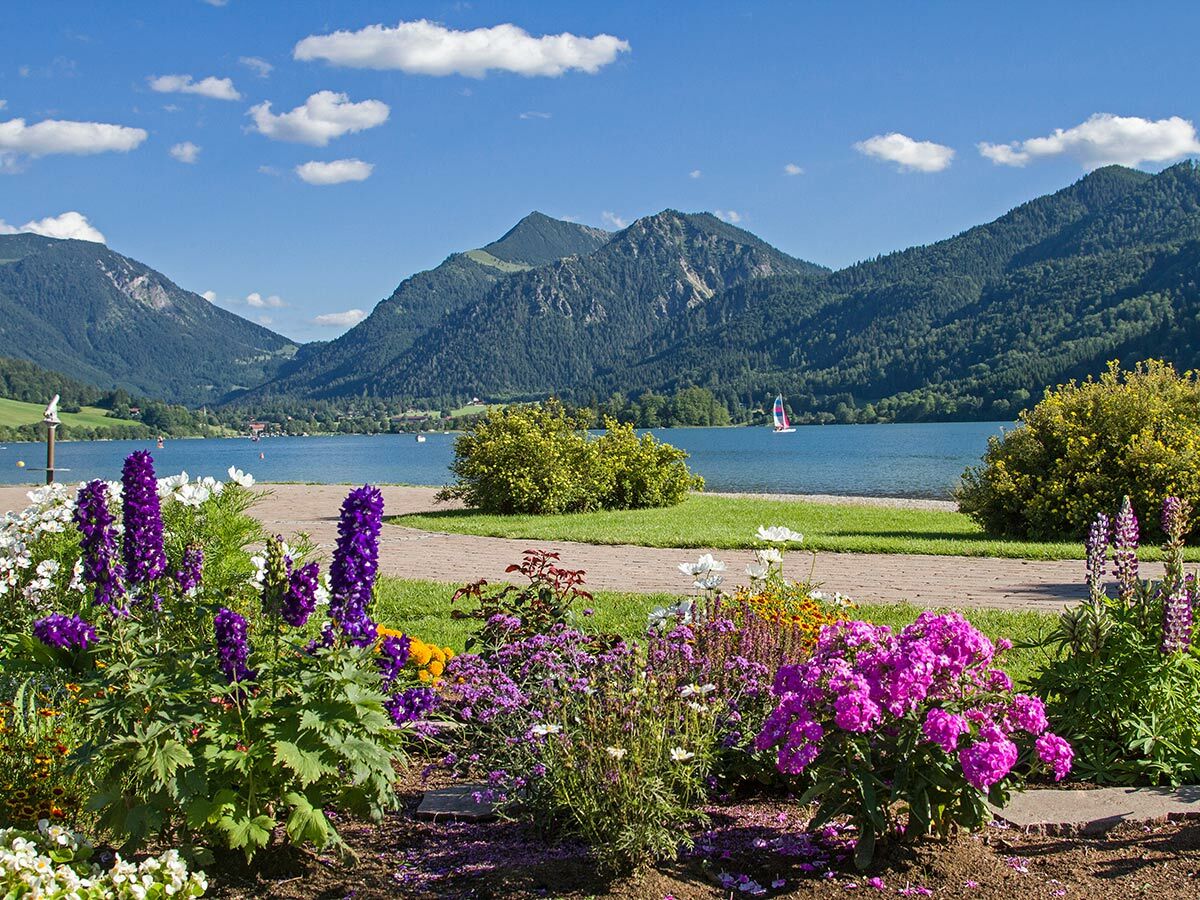 Blühende Blumen am Ufer eines blauen Bergsees mit Bergen und einem Segelboot unter blauem Himmel an einem Sommertag.