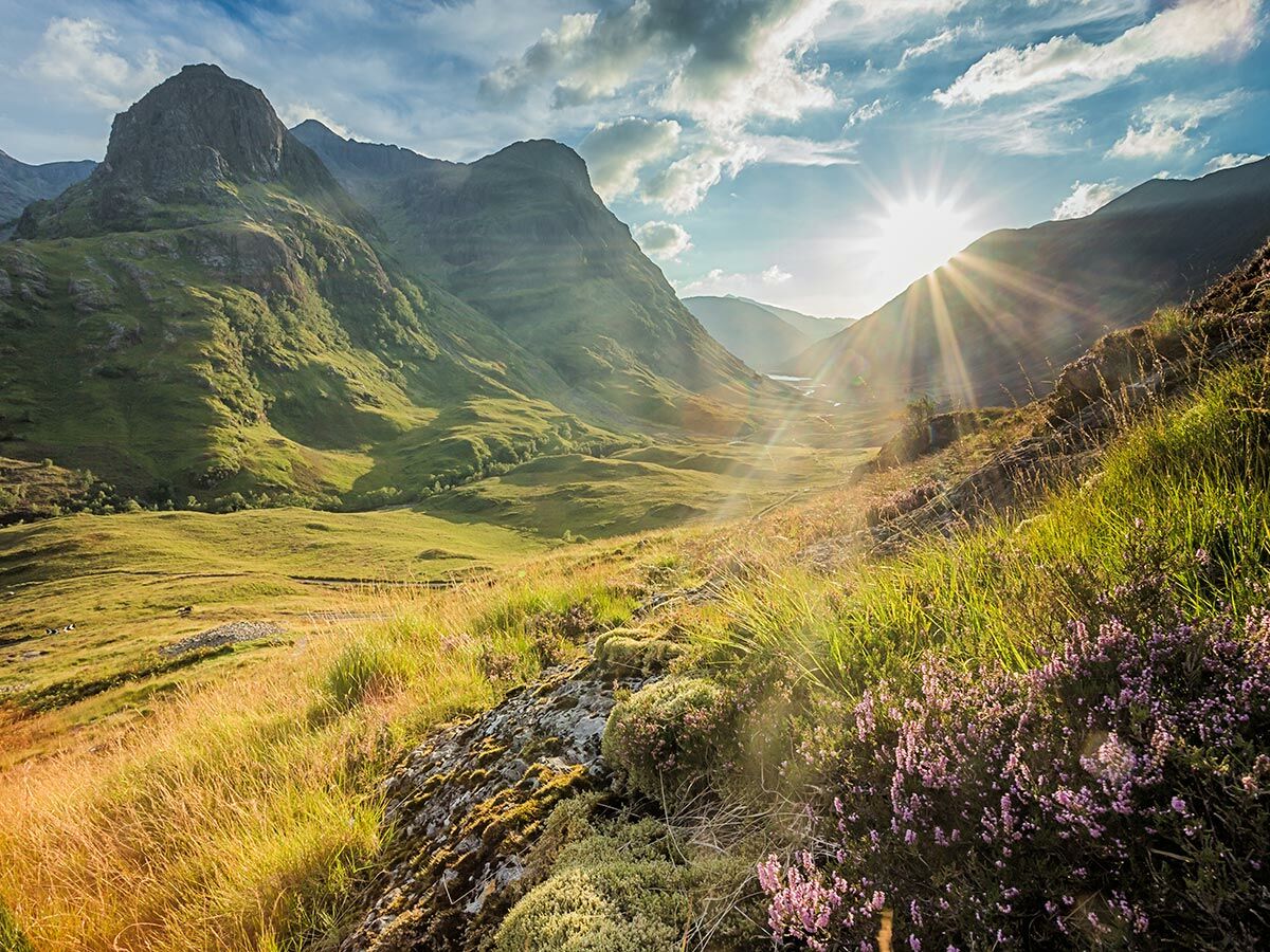 Majestätisches Glencoe Tal in den schottischen Highlands mit grünen Bergen, lila Heidekraut und strahlendem Sonnenaufgang.