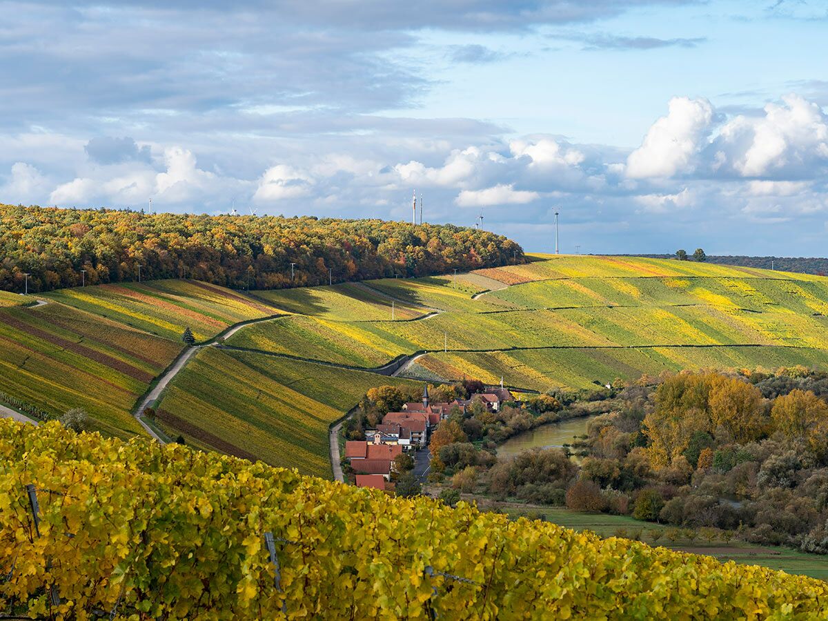Herbstliche Weinberge in leuchtenden Farben, ein Dorf am Fluss, umgeben von Wäldern und Hügeln mit Windrädern unter bewölktem Himmel.
