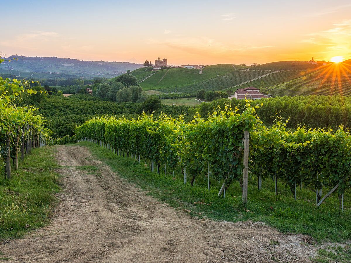 Weitläufige Weinberge im Piemont bei Sonnenuntergang, mit einem Feldweg, einem Schloss und strahlender Sonne.