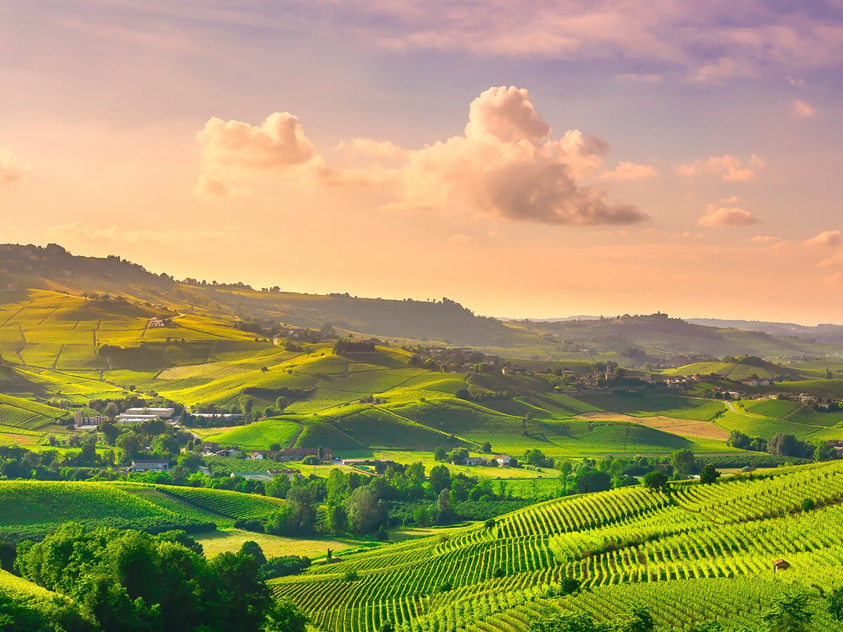 Grüne Weinberge auf sanften Hügeln bei Sonnenuntergang in einer malerischen europäischen Landschaft mit kleinen Dörfern.