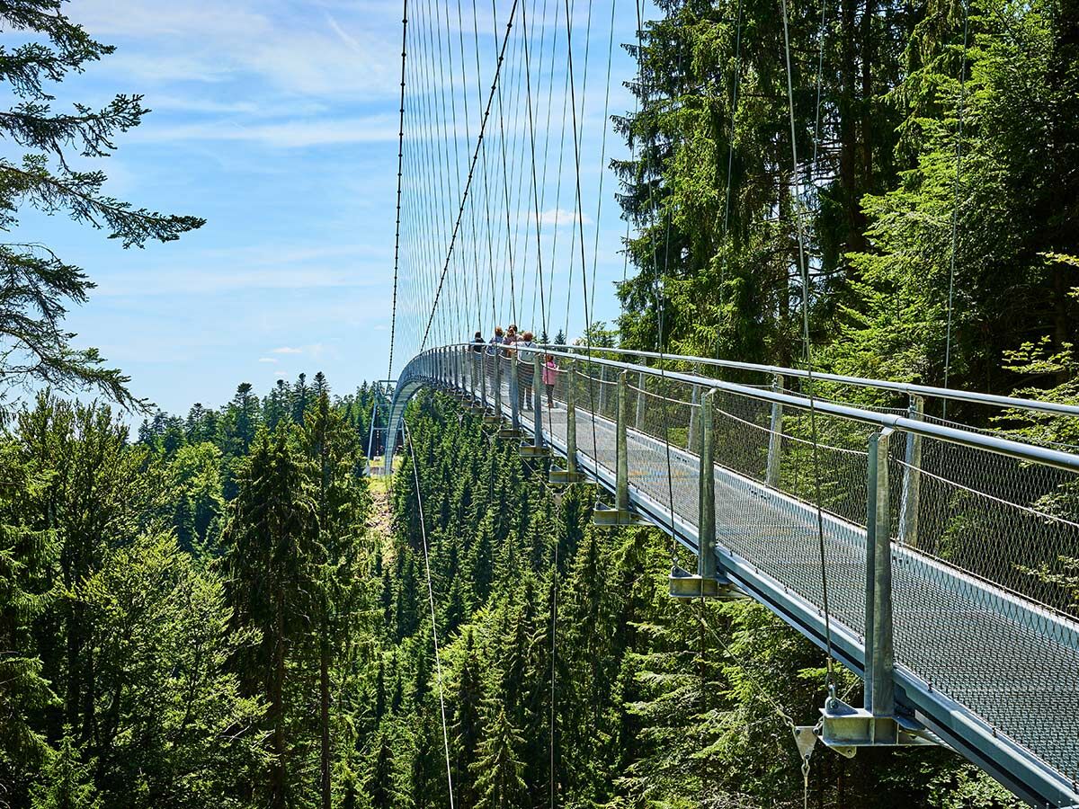 Menschen gehen über eine moderne Hängebrücke aus Metall, die hoch über einem dichten Nadelwald verläuft, an einem sonnigen Tag.