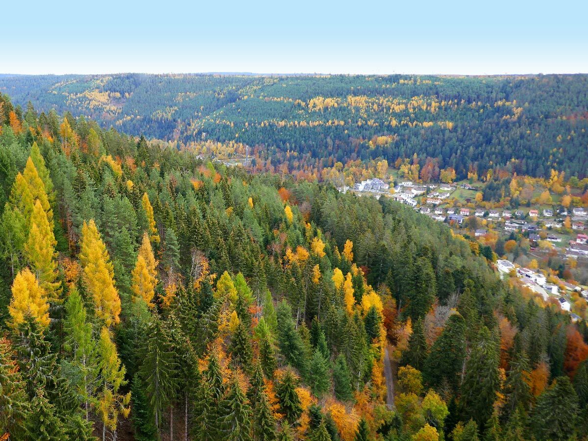 Panoramaaufnahme eines herbstlichen Waldes mit bunten Bäumen und einem Dorf in den Bergen unter blauem Himmel.