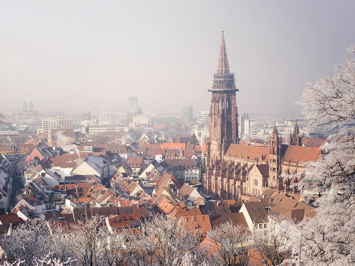 Panoramablick auf das Freiburger Münster und die Altstadt an einem nebligen Wintermorgen mit Raureif.