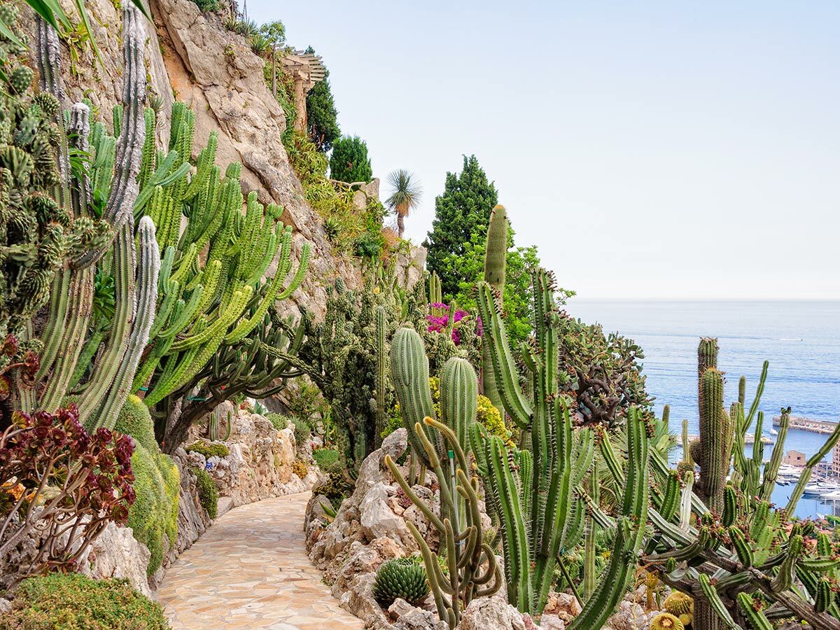 Kaktusgarten mit steinernem Weg, Sukkulenten und Felsen, Blick auf das blaue Mittelmeer und Hafen in Monaco.