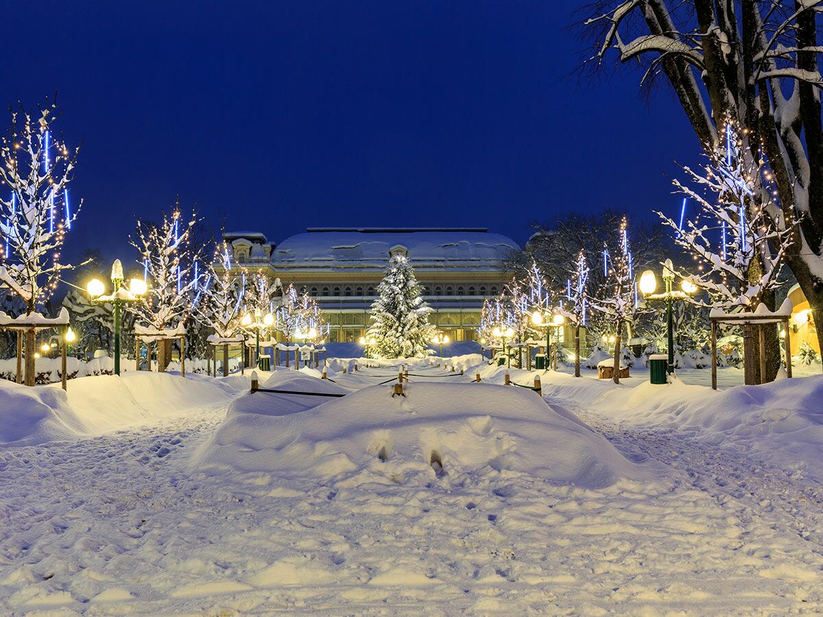 Winterlicher Park bei Nacht, bedeckt mit Schnee, mit beleuchteten Bäumen und Straßenlaternen. Im Hintergrund ein festlich geschmücktes Gebäude.