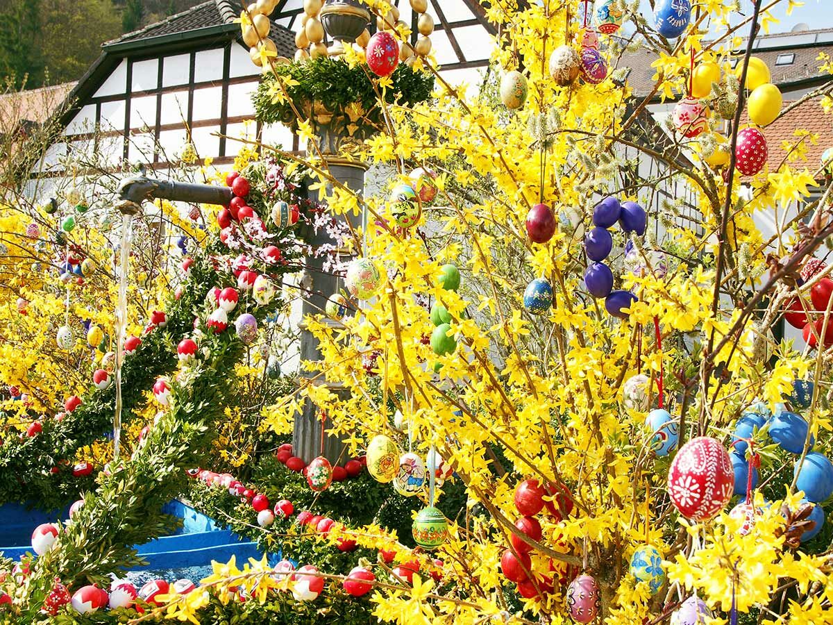 Osterbrunnen mit gelben Forsythien, grünen Sträuchern, fließendem Wasser und zahlreichen bunten, bemalten Ostereiern geschmückt, Fachwerkhaus im Hintergrund.