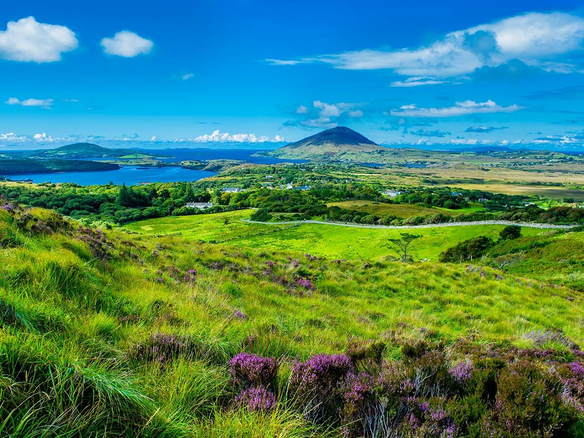 Idyllische Landschaft in Connemara, Irland, mit grünen Hügeln, lila Heidekraut, blauem See, Bergen und hellblauem Himmel.