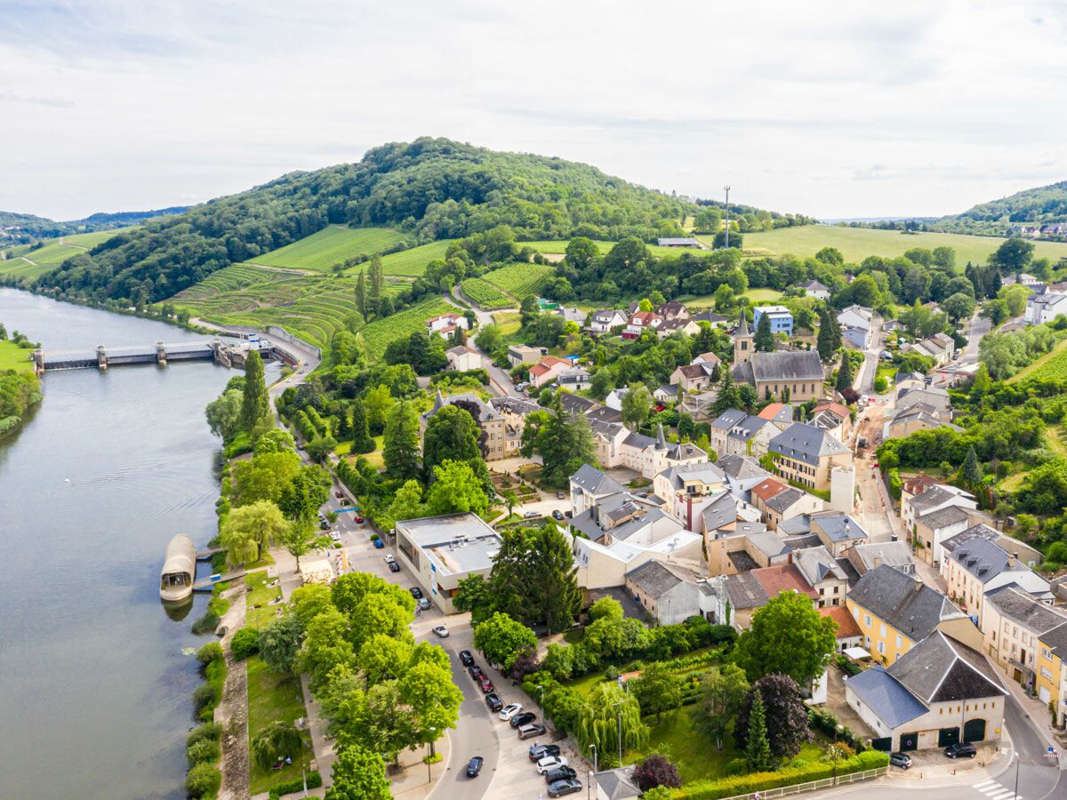 Luftaufnahme eines malerischen Dorfes an der Mosel mit Kirche, Häusern, Schleuse, Fluss und terrassierten Weinbergen.