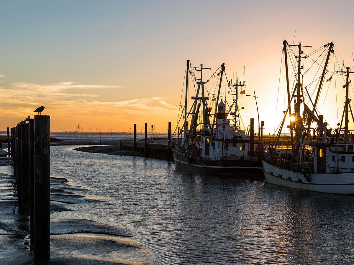 Zwei Fischerboote liegen im Hafen am Steg bei Sonnenuntergang. Ebbe legt Wattflächen frei, Möwen sitzen auf Holzpfählen.