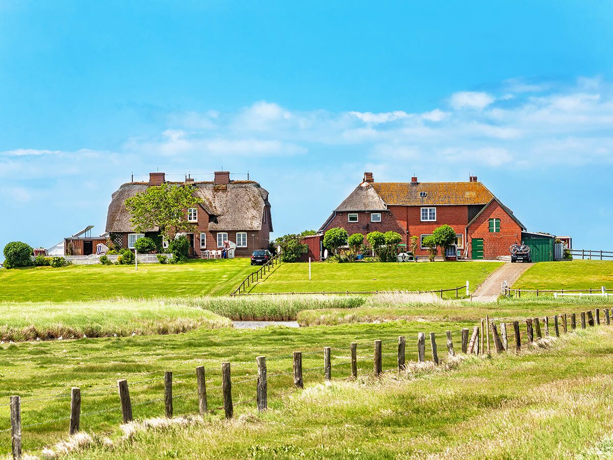 Zwei traditionelle Reetdachhäuser in einer weiten grünen Landschaft unter blauem Himmel mit weißen Wolken. Felder und ein Holzzaun im Vordergrund.