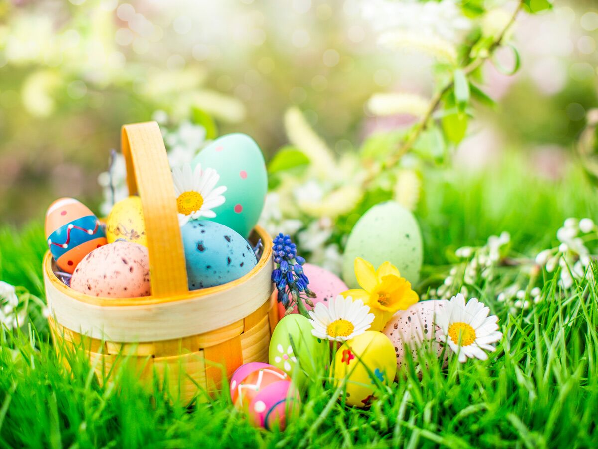 Bunte Ostereier, ein gefüllter Korb, Gänseblümchen und Narzissen liegen im frischen grünen Gras bei Sonnenschein im Frühling.