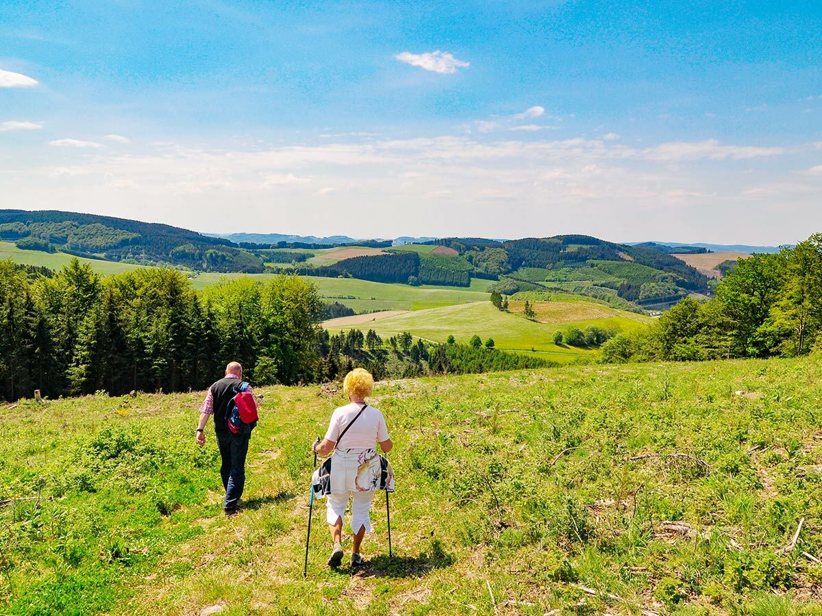 Zwei Wanderer, ein Mann und eine Frau mit Stöcken, gehen auf einem Grasweg durch sanfte grüne Hügel und Wälder unter blauem Himmel.