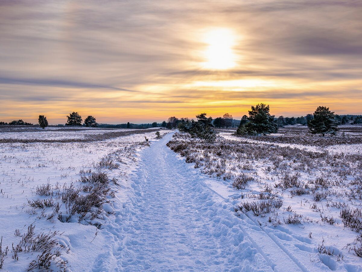 Ein verschneiter Pfad schlängelt sich durch eine Winterlandschaft mit Bäumen unter einem farbenfrohen Sonnenuntergangshimmel.