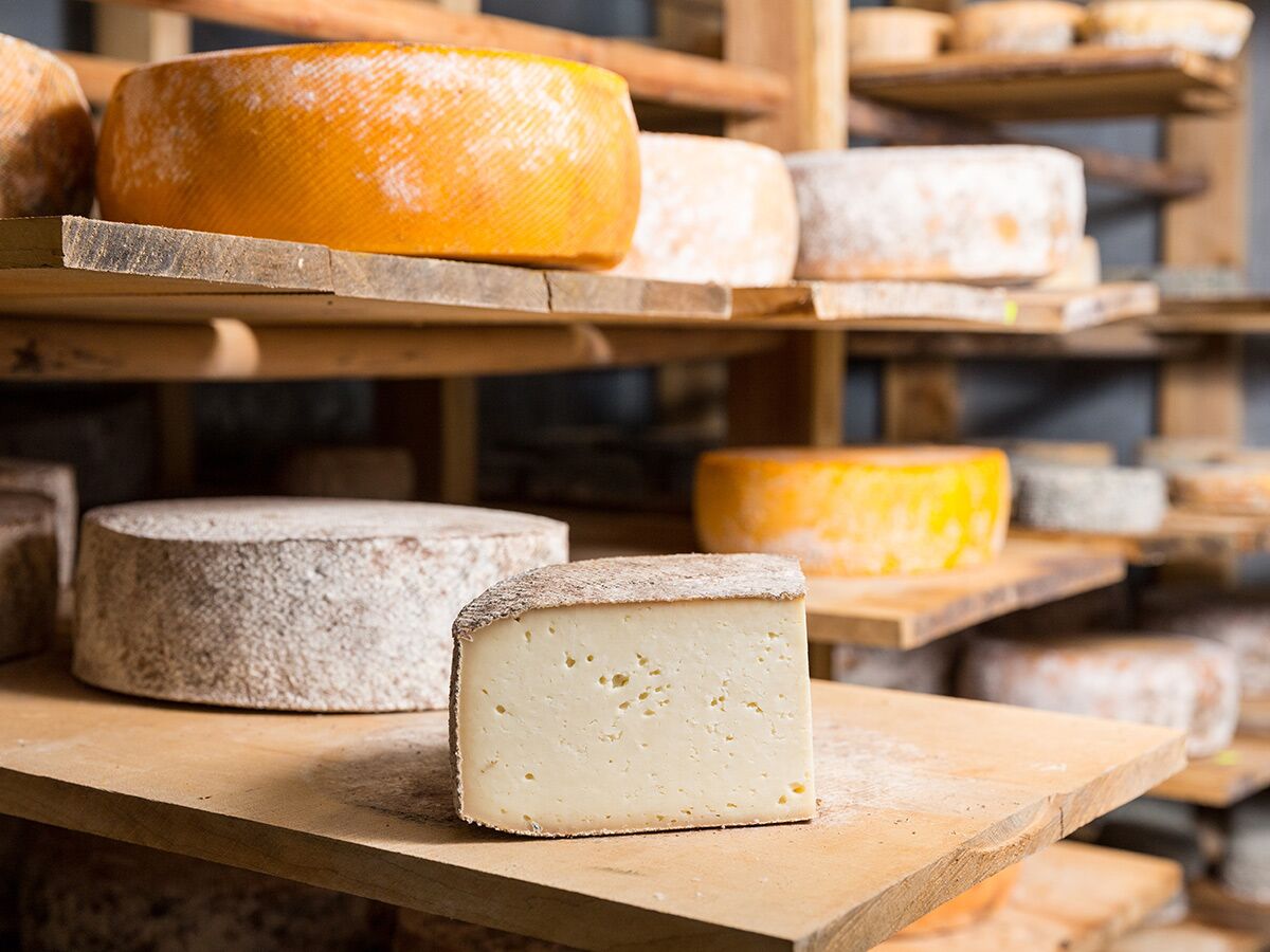 Verschiedene Käselaibe mit orangefarbenen und schimmeligen Rinden sowie ein angeschnittener Käse auf Holzregalen in einem Reifekeller.