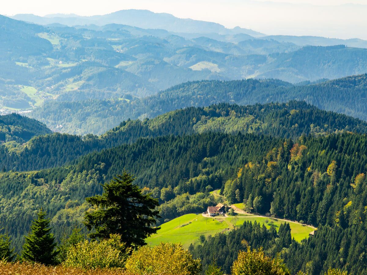 Malerische Herbstlandschaft im Schwarzwald mit bewaldeten Hügeln, Bauernhaus auf grüner Wiese und atmosphärischer Ferne.