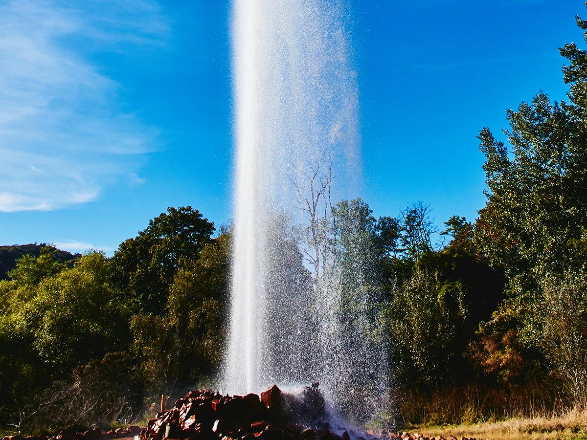 Ein hoher Geysir bricht kräftig aus, umgeben von grünen Bäumen unter strahlend blauem Himmel.