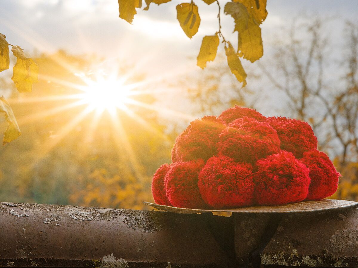 Traditioneller roter Bollenhut auf rustikalem Hintergrund mit strahlender Herbstsonne und goldenen Blättern.