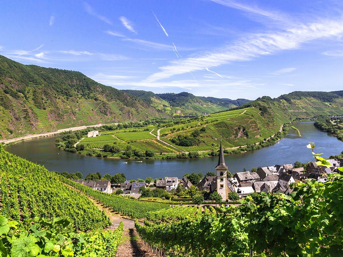 Panoramablick auf die Mosel mit Weinbergen, einem Dorf mit Kirche und grünen Hügeln unter blauem Himmel.
