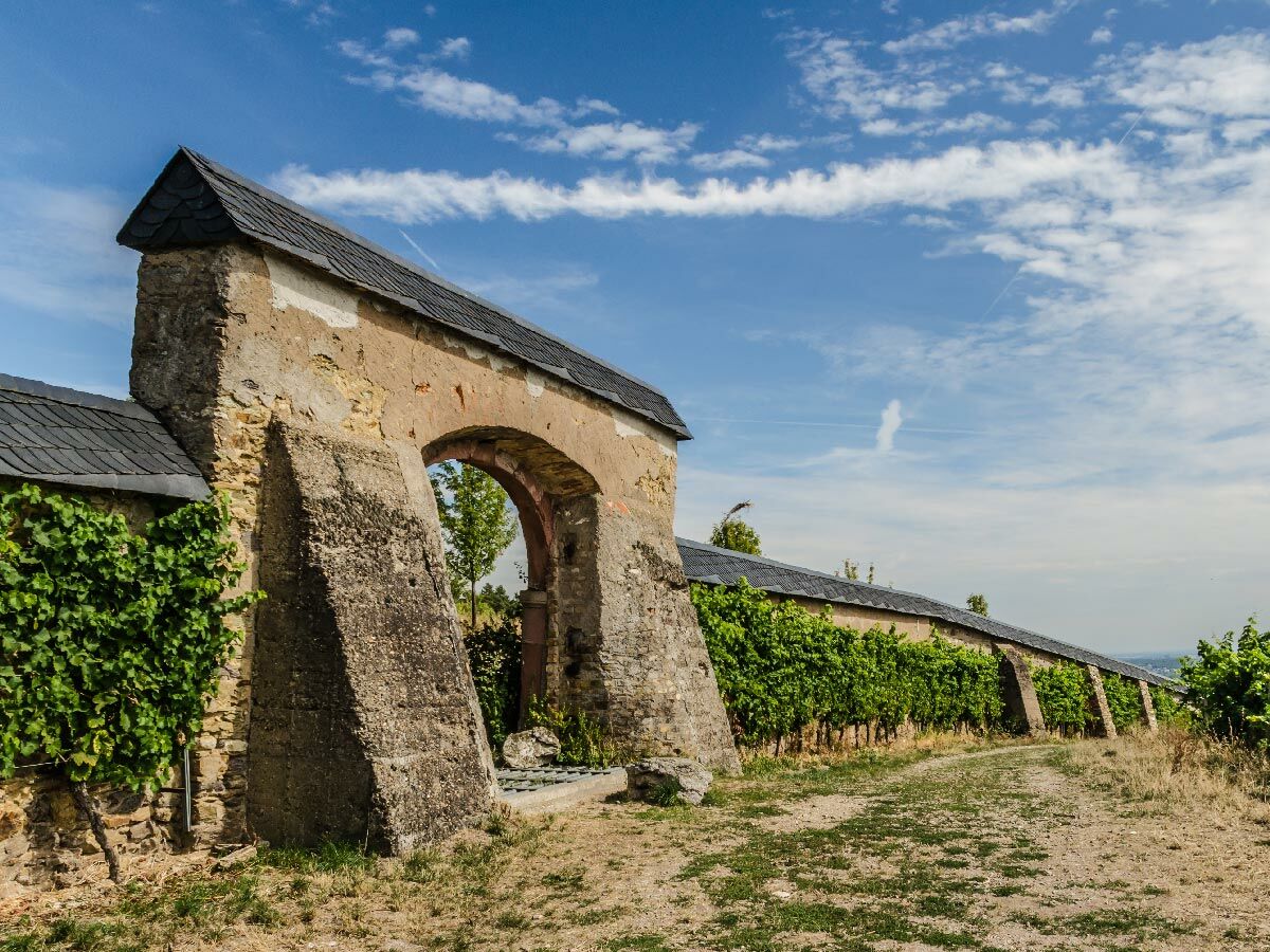 Historischer steinerner Torbogen führt durch eine lange Mauer mit üppigen Weinreben und Schieferdach unter blauem Himmel.