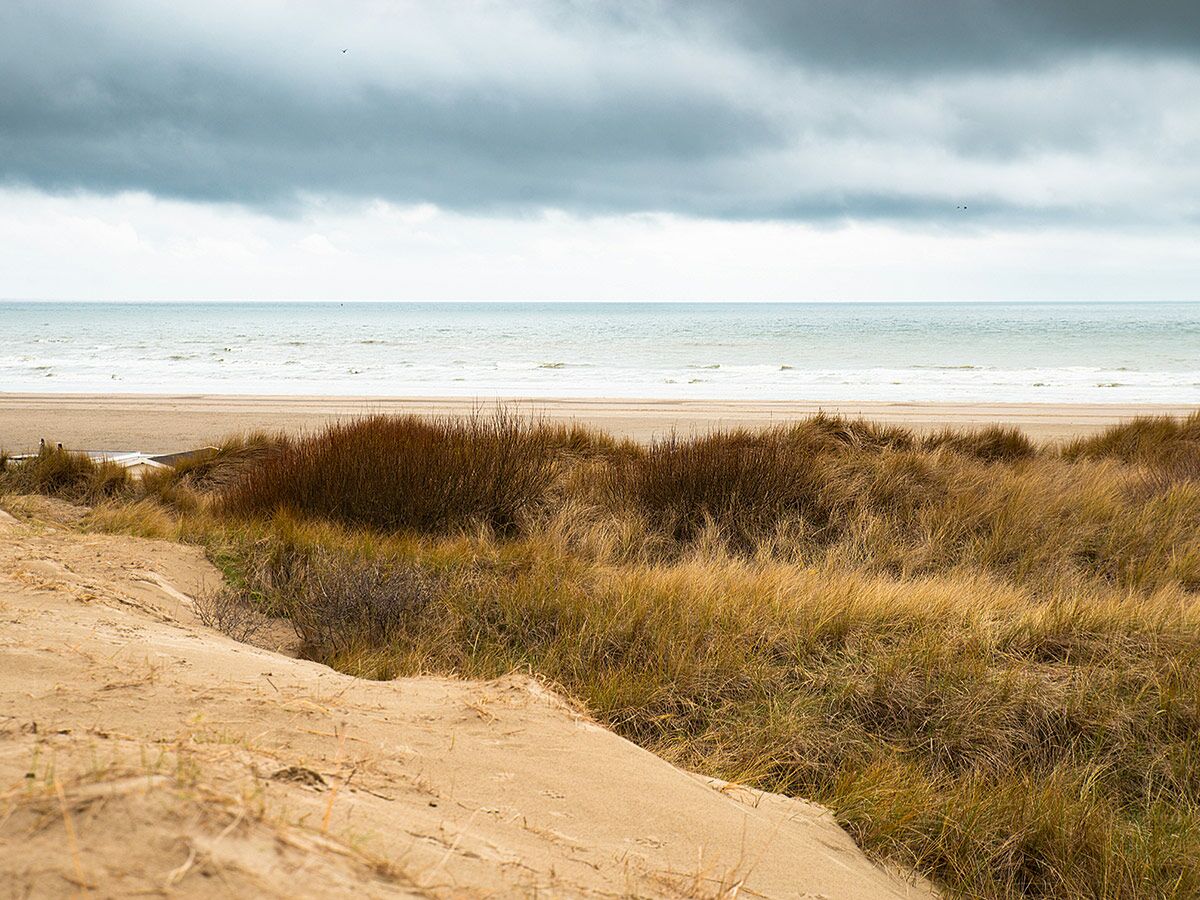 Weite Küstenlandschaft mit sandigen Dünen, trockenem Gras und Büschen, die zu einem ruhigen Strand und dem Meer unter bewölktem Himmel führt.