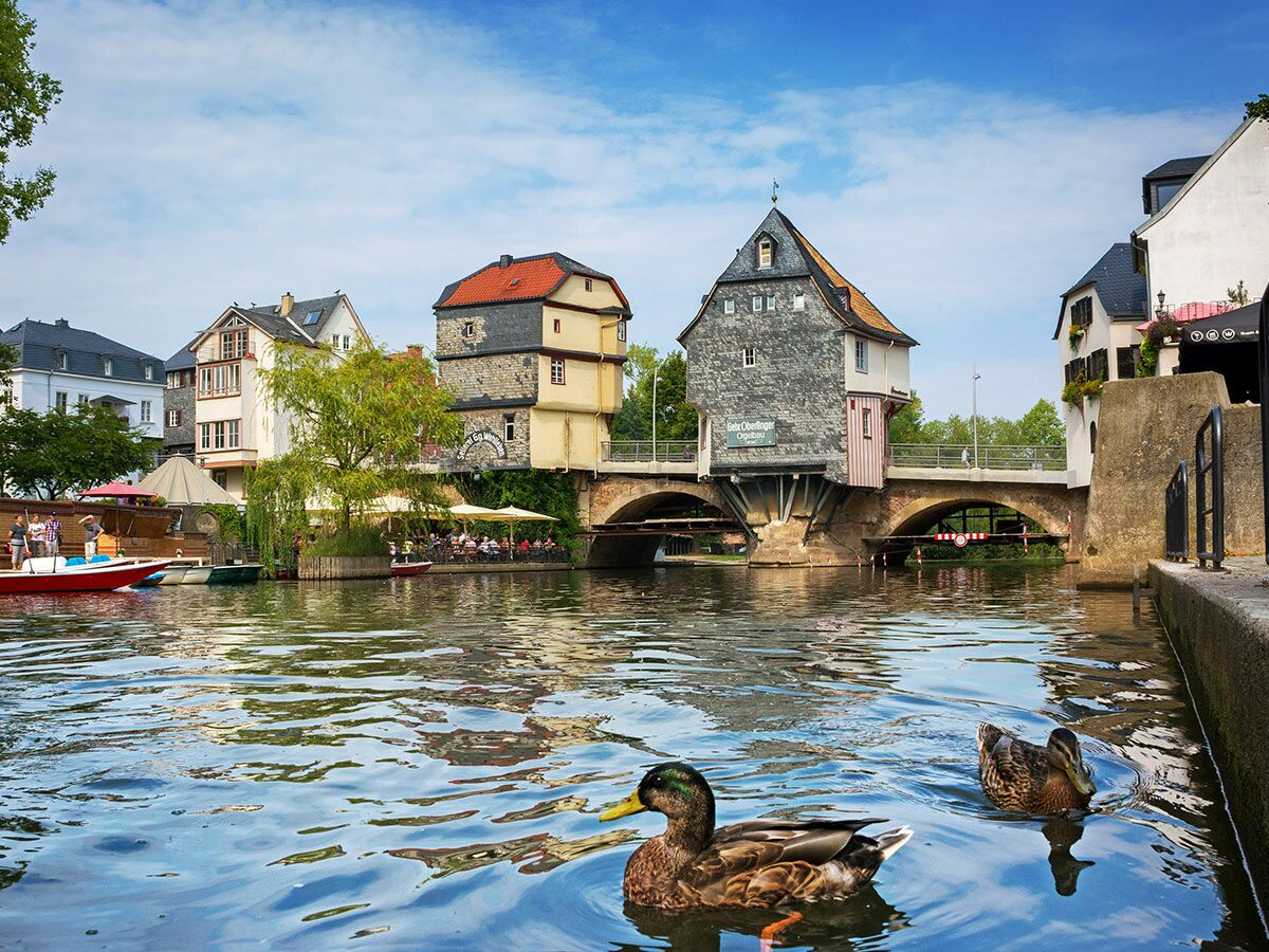Malerische Altstadtansicht mit historischen Gebäuden am Fluss, Bogenbrücke, Außencafés und zwei schwimmenden Enten im Vordergrund.