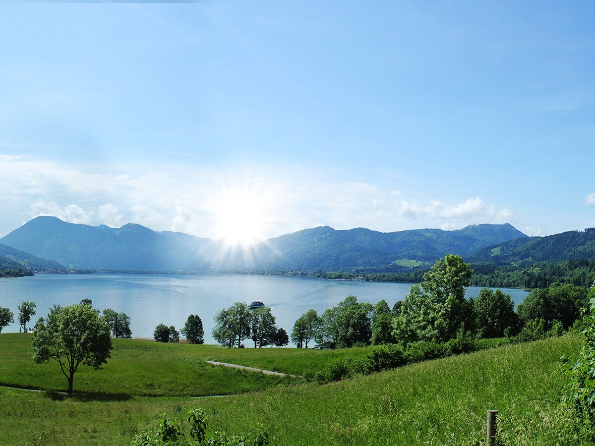 Blick über einen malerischen See mit Bergen, grünen Wiesen und Wäldern unter strahlender Sonne, im Vordergrund ein Baum.