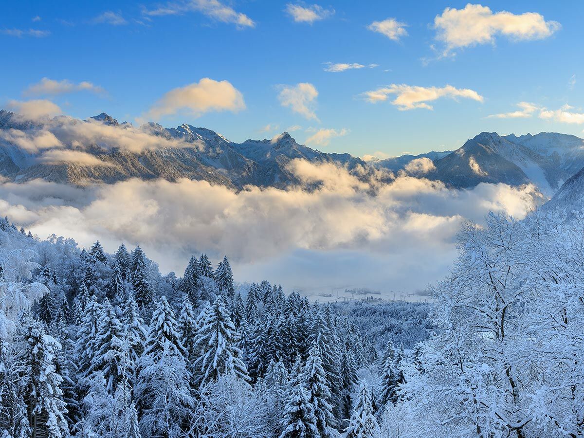 Schneebedeckte Berge über einem Winterwald und Nebel im Tal unter blauem Himmel, strahlendes Sonnenlicht.