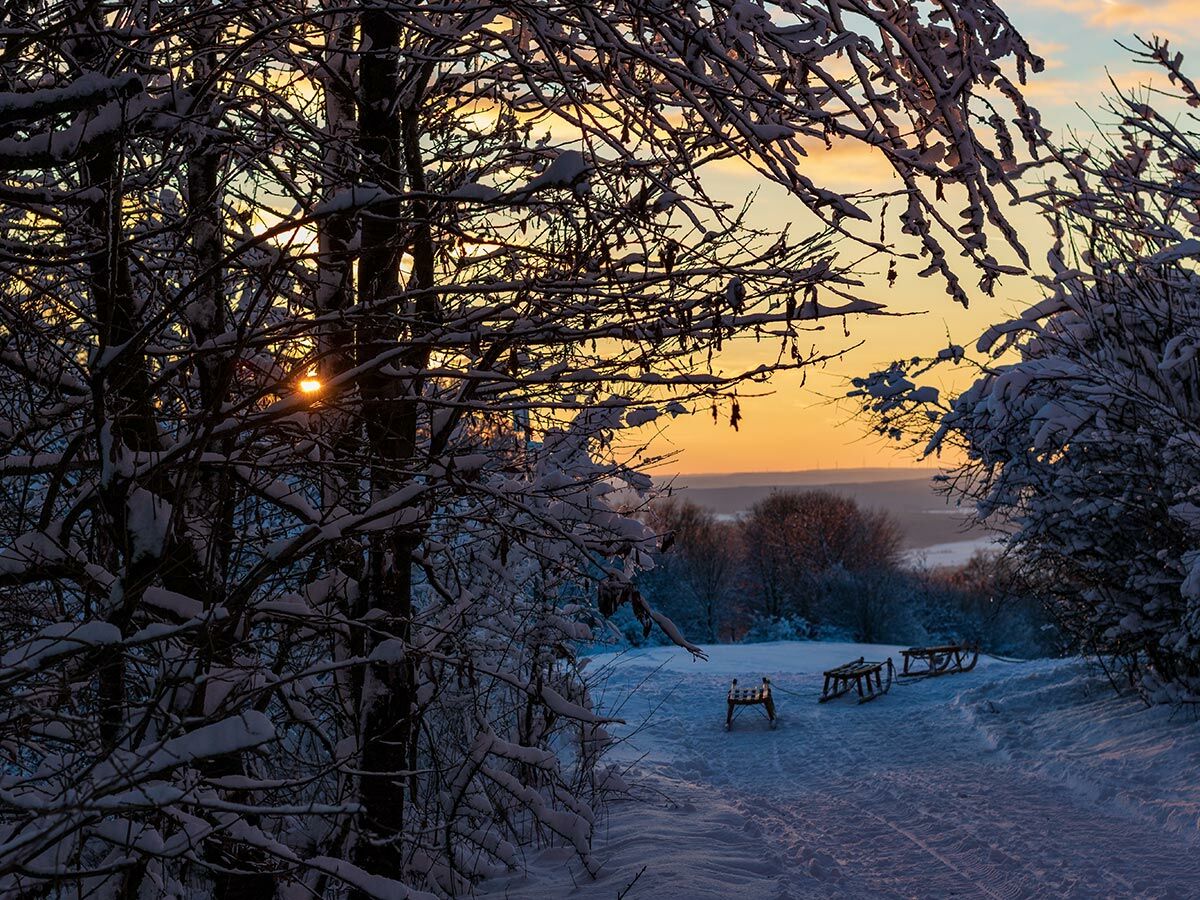 Winterlicher Sonnenuntergang mit schneebedeckten Bäumen und drei Holzschlitten auf einem verschneiten Pfad.